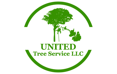 United Tree Service, LLC