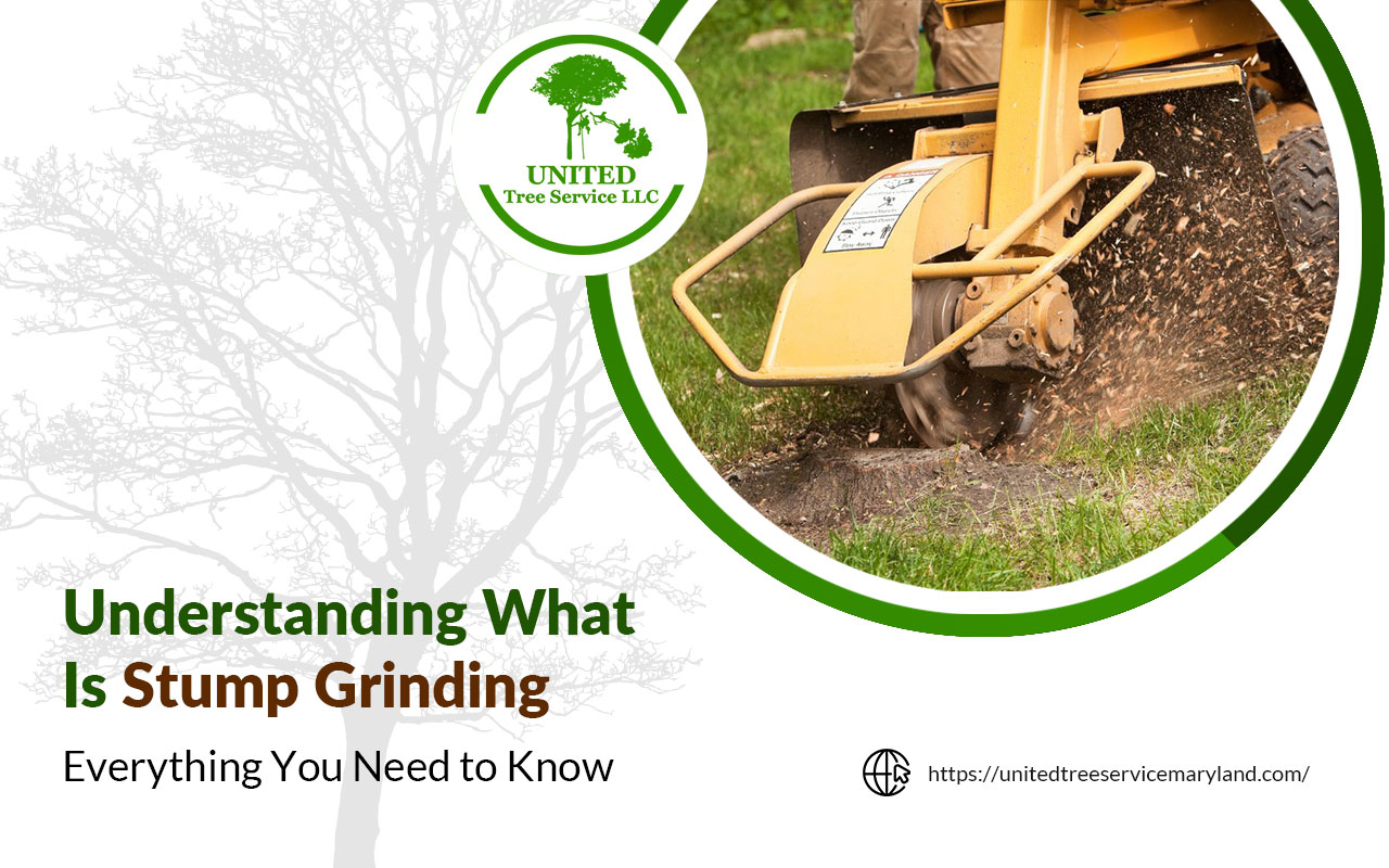 what is stump grinding, and what is its importance?