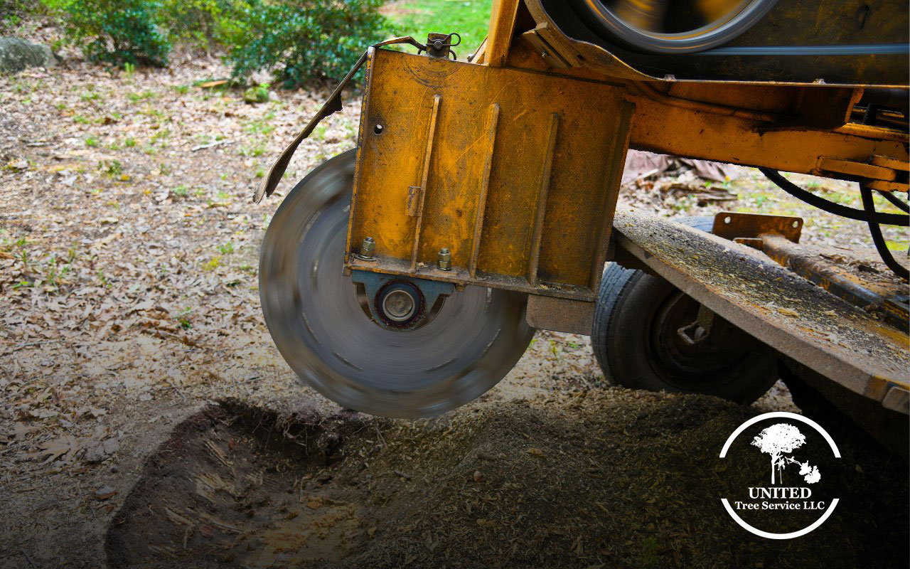 professional-stump-grinding-service