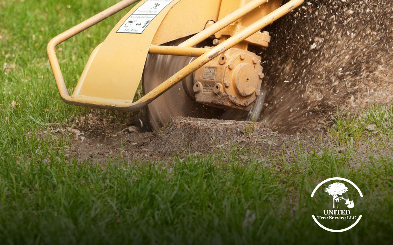 Stump Grinding