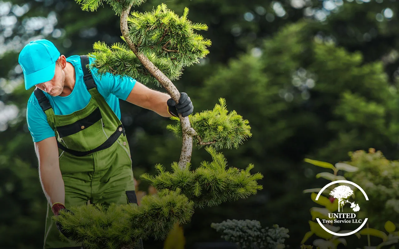 Urgent tree care solutions to prevent property damage.