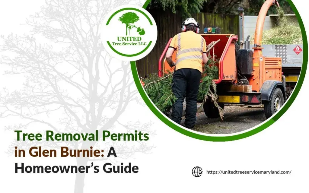 Tree being safely removed after receiving city permit approval