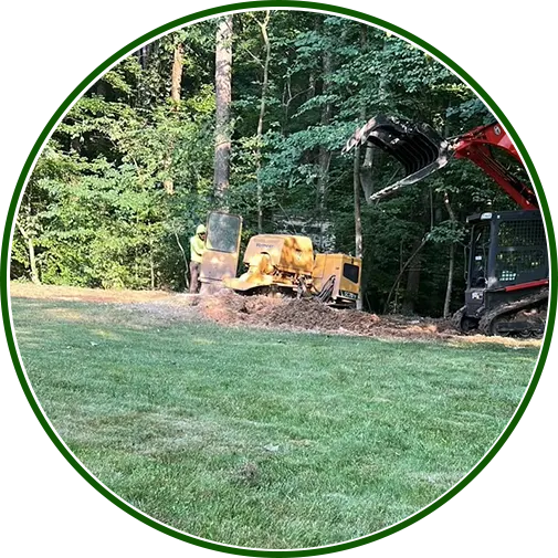 Stump grinding and land clearing in Ellicott City, MD for a smooth landscape.