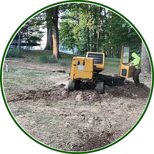 Worker operating stump grinder during tree removal in a residential yard.