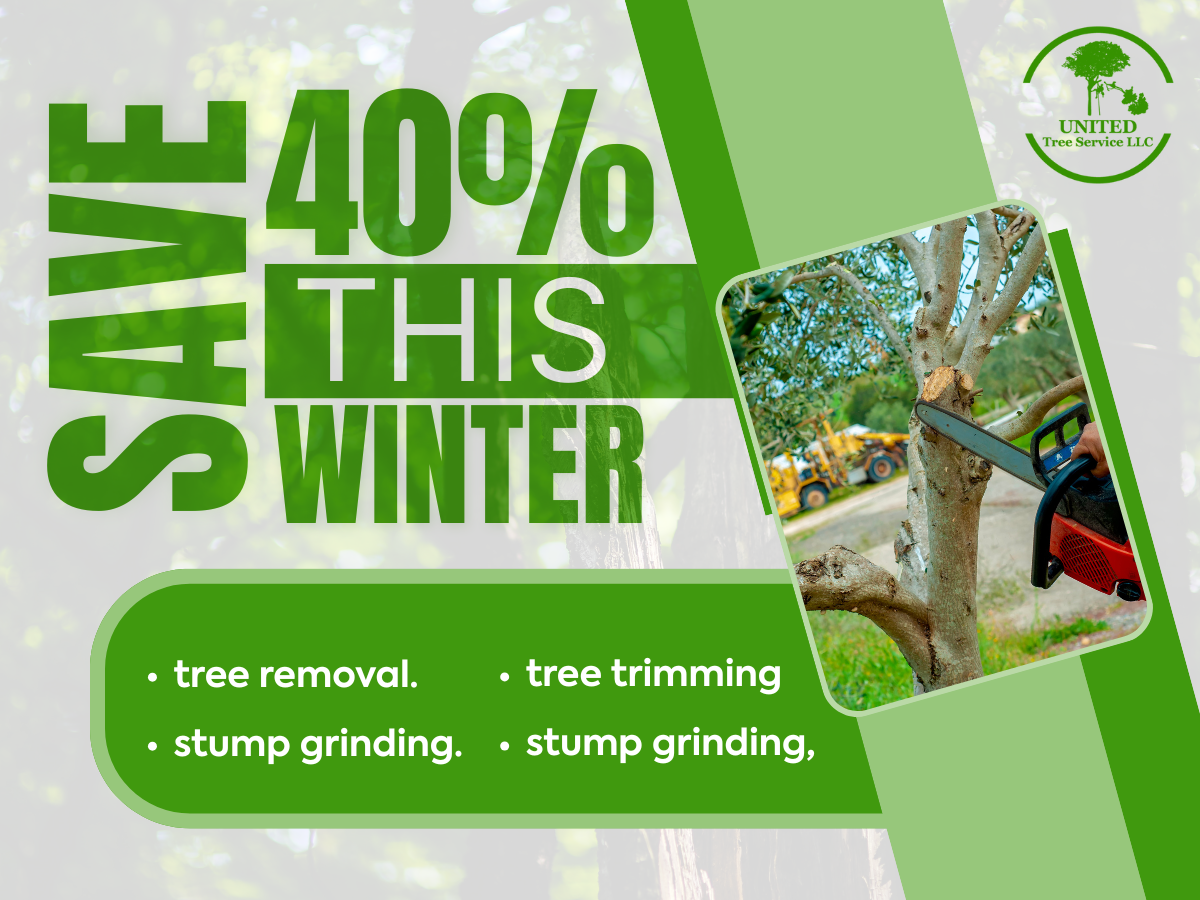 Save 40% This Winter United Tree Service LLC keeps your home and yard safer all season long with fast appointments, honest pricing, and a limited-time winter discount on tree removal, stump grinding, tree trimming, and lot cleaning. Schedule with Experts: (410) 892-5562