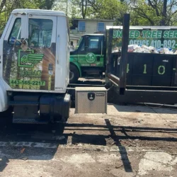 recent-gallery-united-tree-service-llc-18