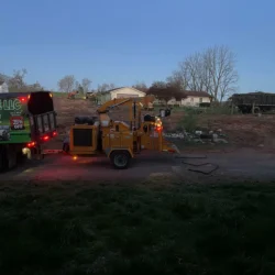 recent-gallery-united-tree-service-llc-5