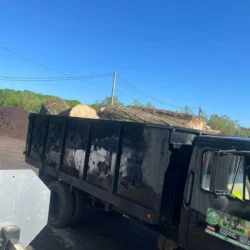 recent-gallery-united-tree-service-llc-8