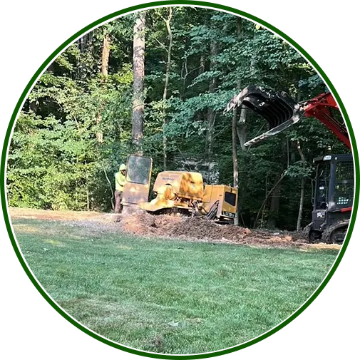 stump-grinding-services-image2