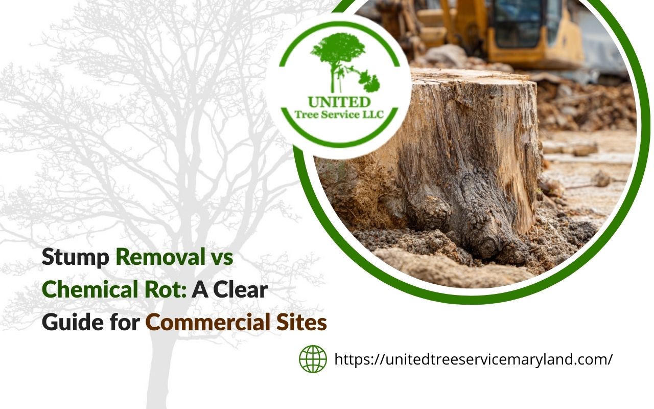 Stump removal vs chemical rot comparison for a commercial property site