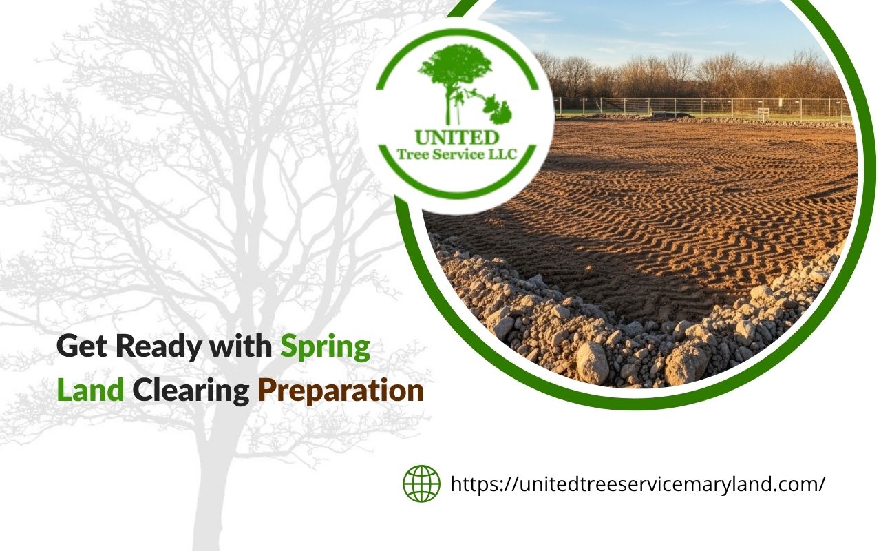 spring land clearing preparation to prepare lot for construction