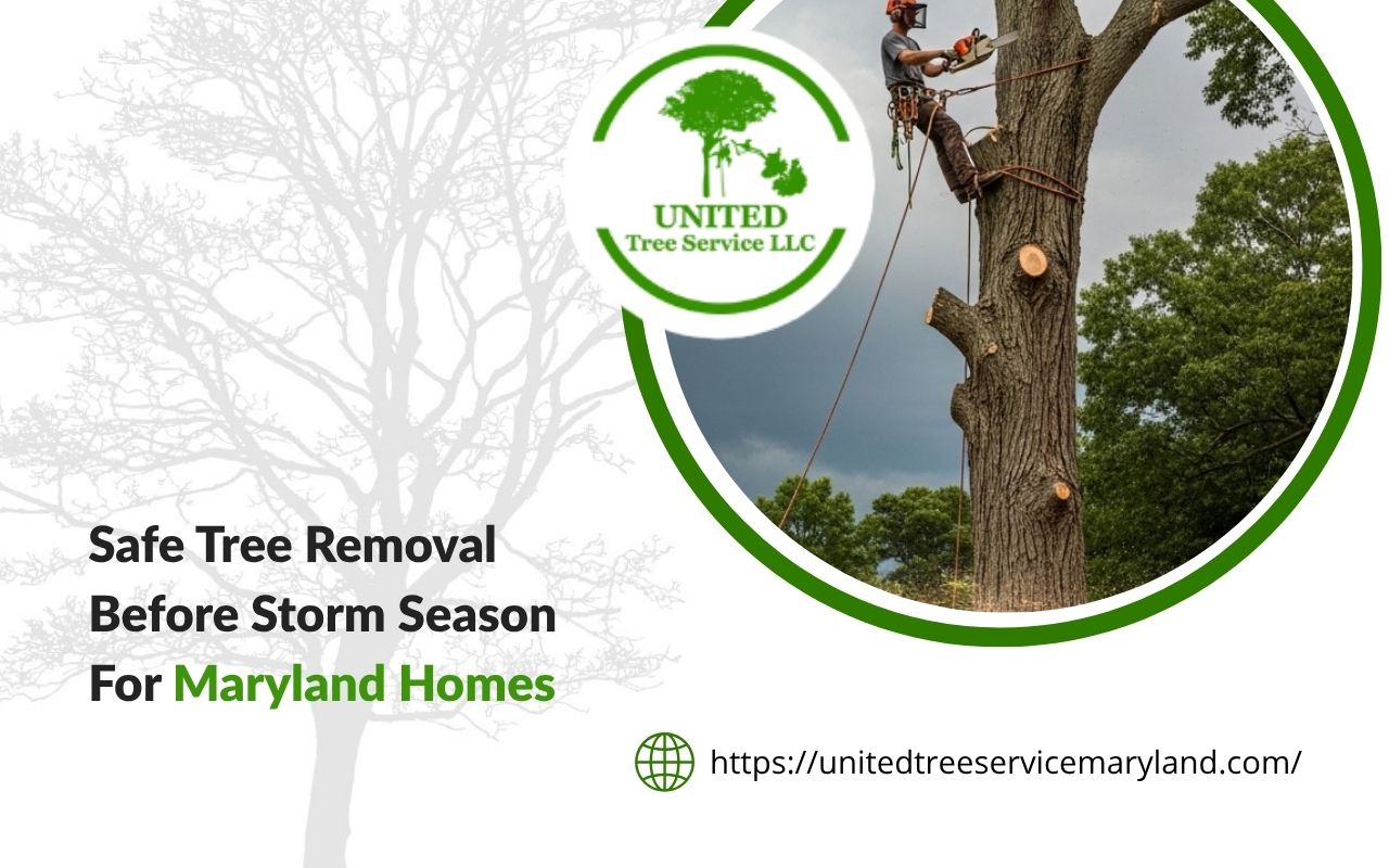 Tree removal before storm season to protect a Maryland yard