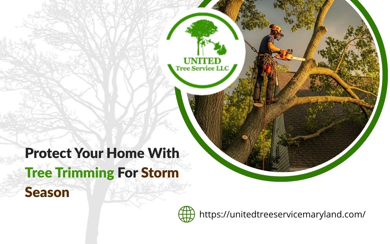 Crew removing weak branches during tree trimming for storm season