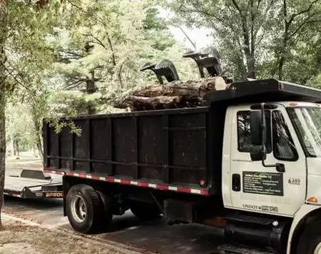 Emergency Tree Services