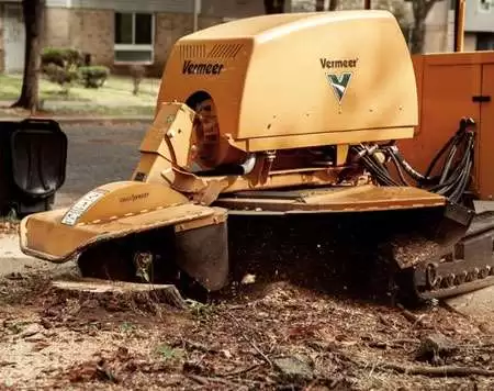 Stump Grinding
