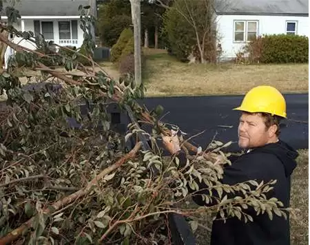 Lot Cleaning