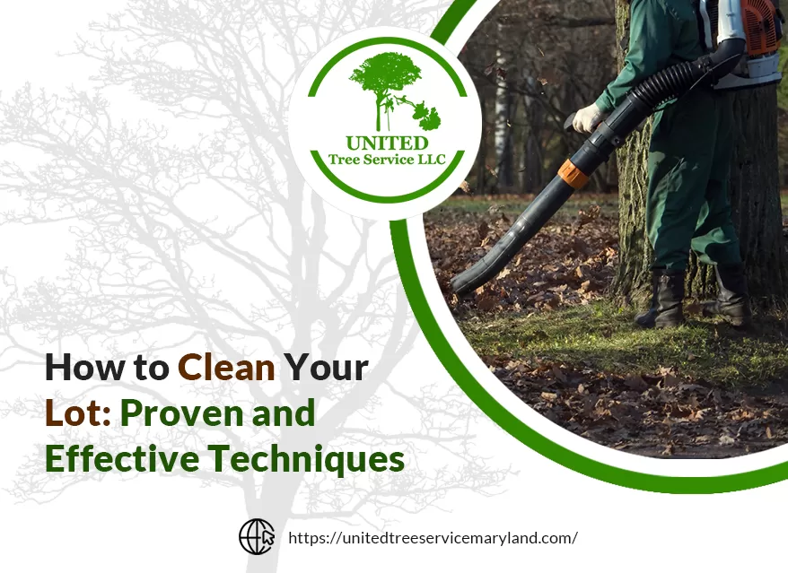 Step-by-step guide on how to clean your lot effectively and safely.