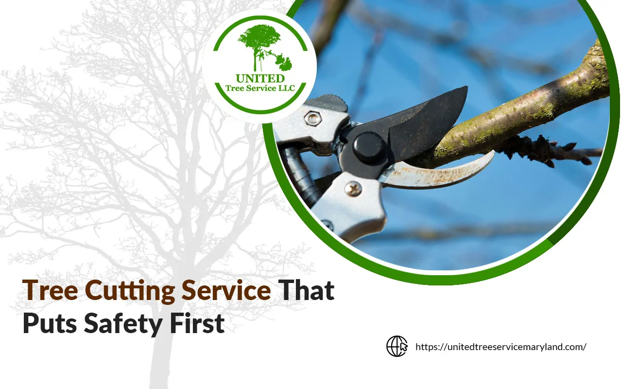 Arborist cutting down a large tree in a Baltimore yard