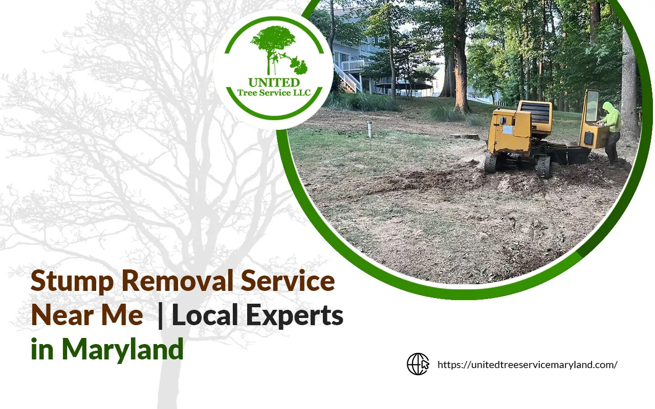 Technician grinding a tree stump on a Maryland residential property