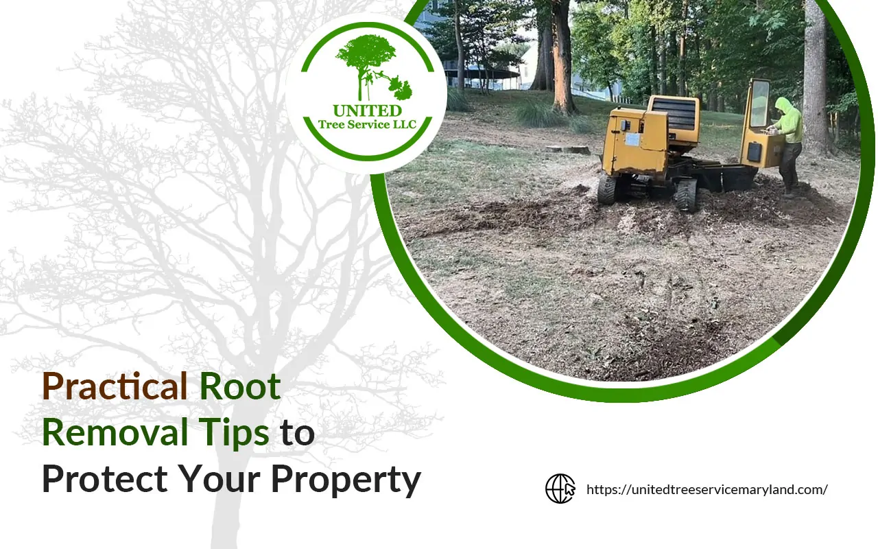 Stump grinding machine removing tree roots in a backyard