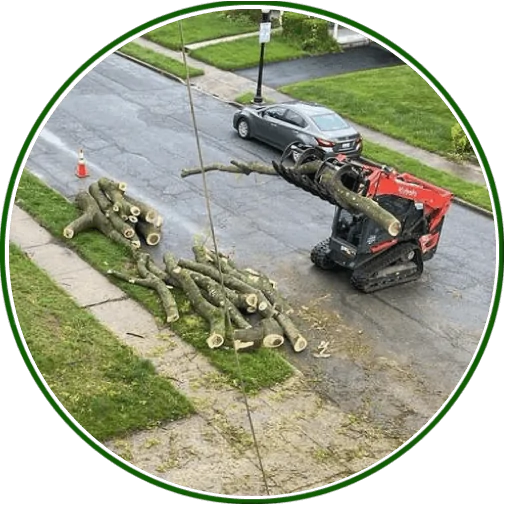 Choose Safety with Tree Removal in Columbia, MD