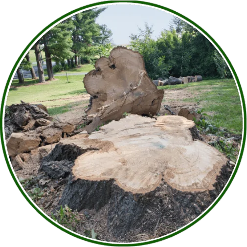 Costs & Pricing Factors