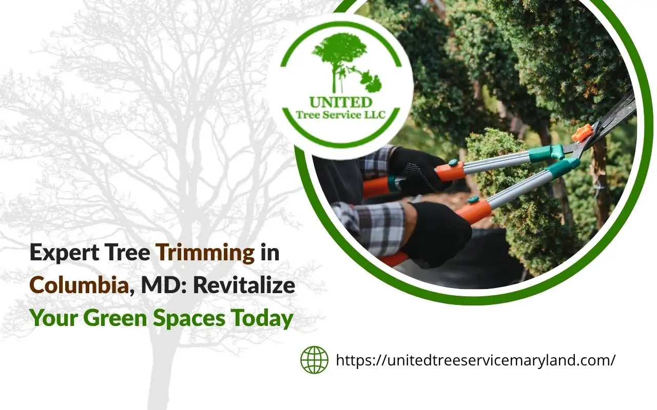 Expert arborist performing precise tree trimming in Columbia MD