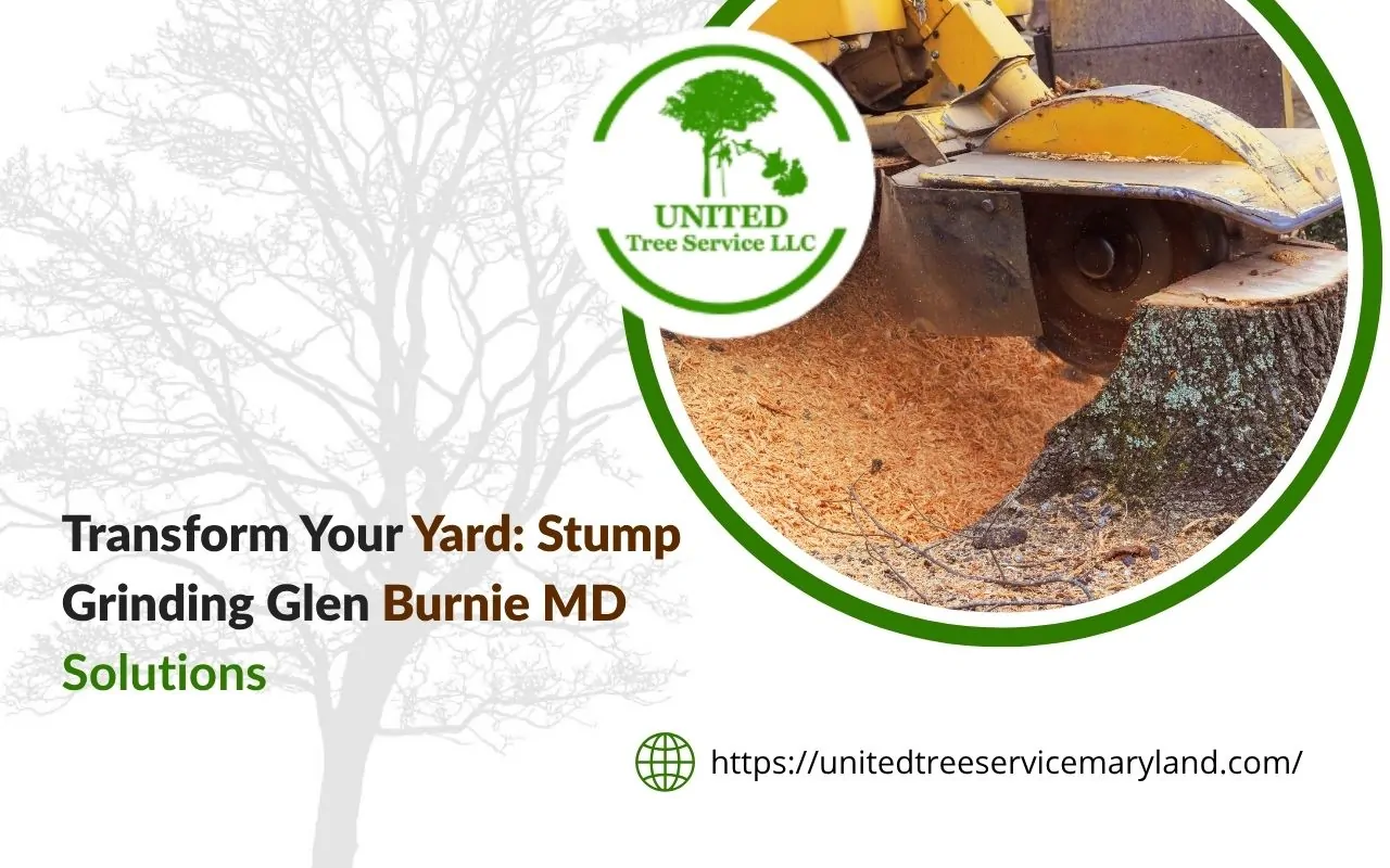 tump grinding process in Glen Burnie MD for safe and effective yard restoration