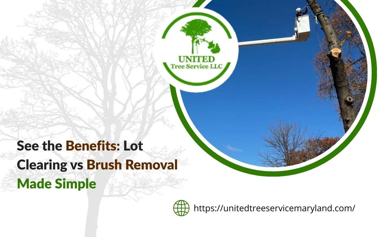 Visual guide explaining lot clearing vs brush removal to help property owners choose the right land cleanup option.
