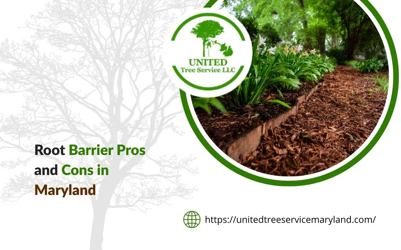 Root barrier pros and cons in Maryland explained with a barrier line protecting a backyard planting bed