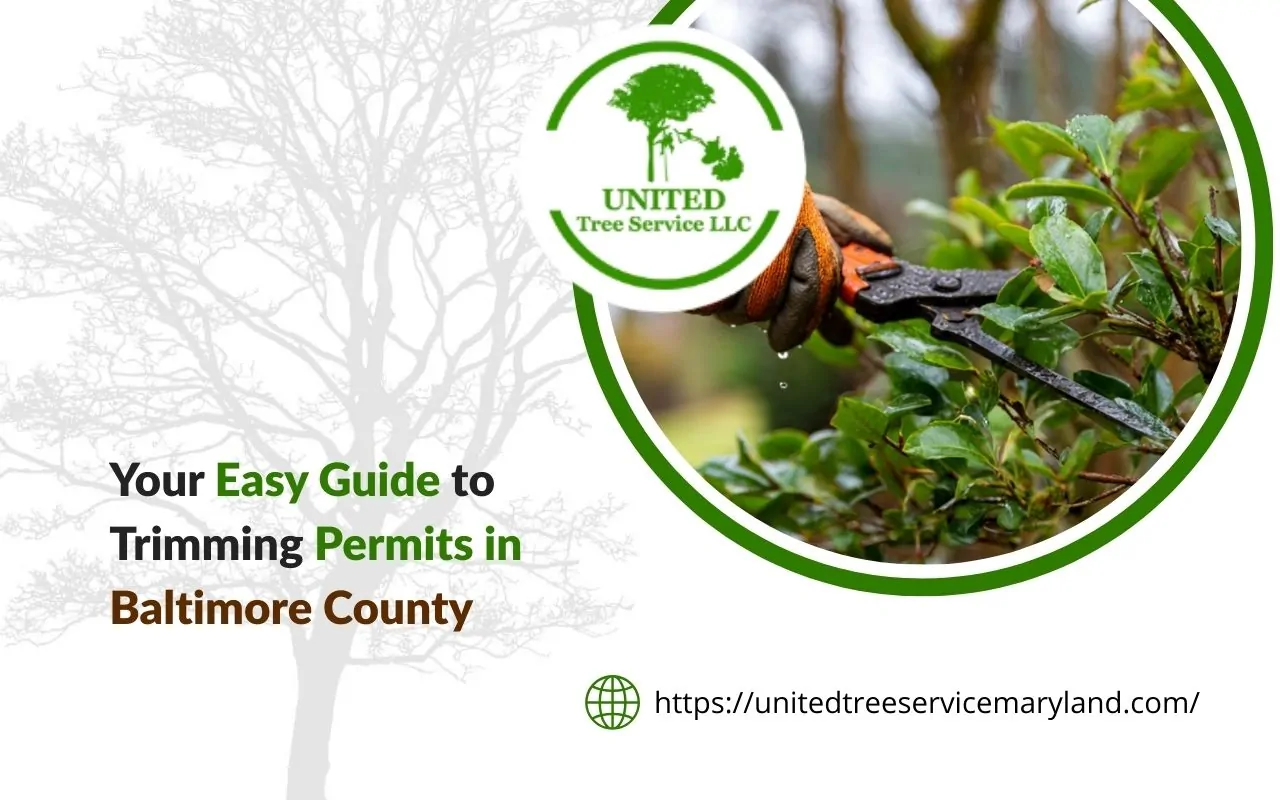 Trimming permits in Baltimore County checklist for homeowners before pruning
