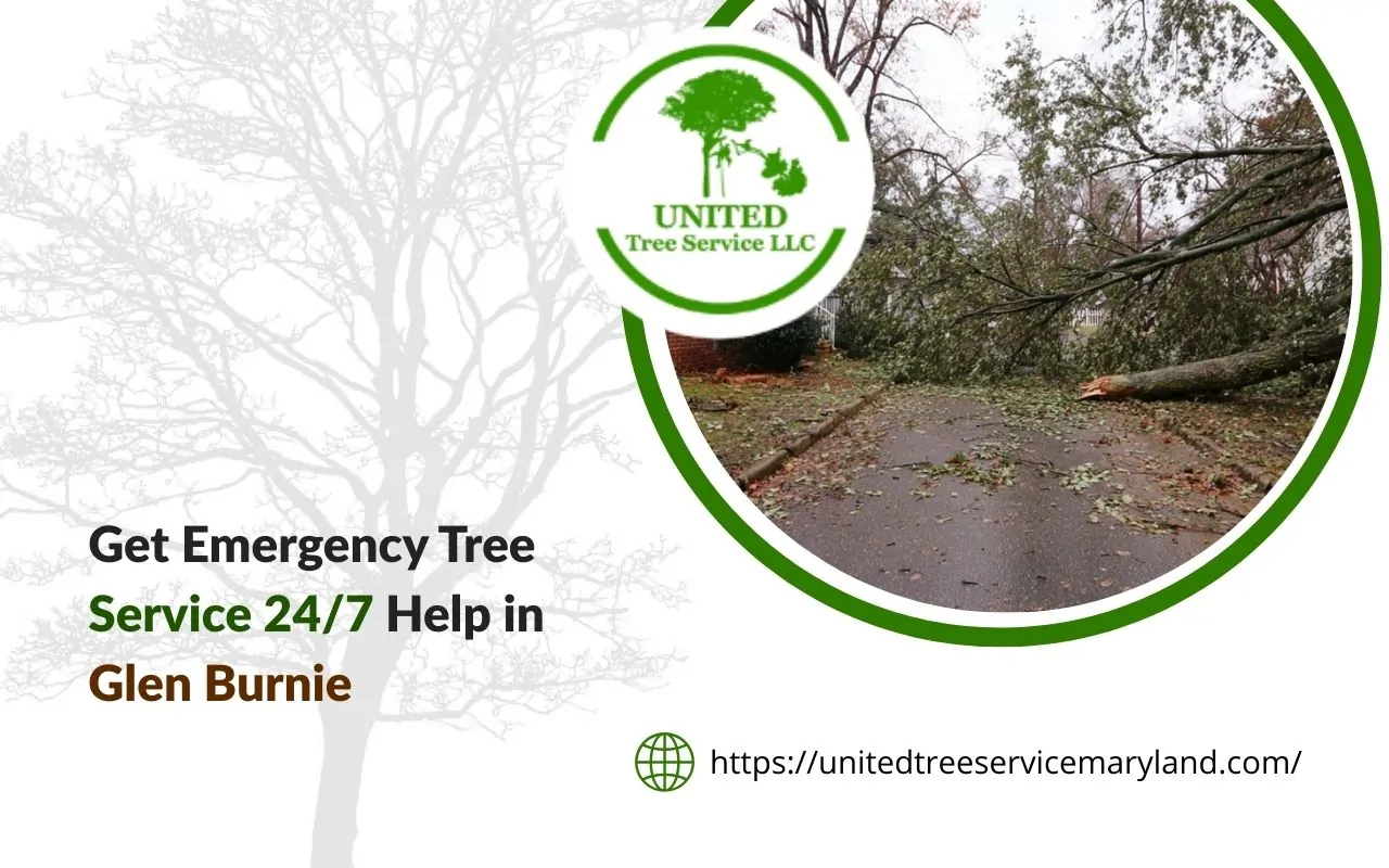 Emergency tree service 24/7 for Glen Burnie handling storm response after fallen limbs