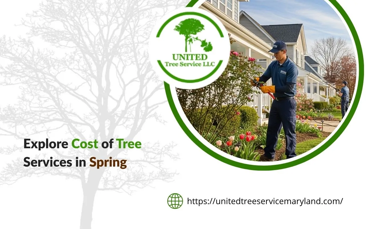 Crew reviewing spring tree service pricing for yard work